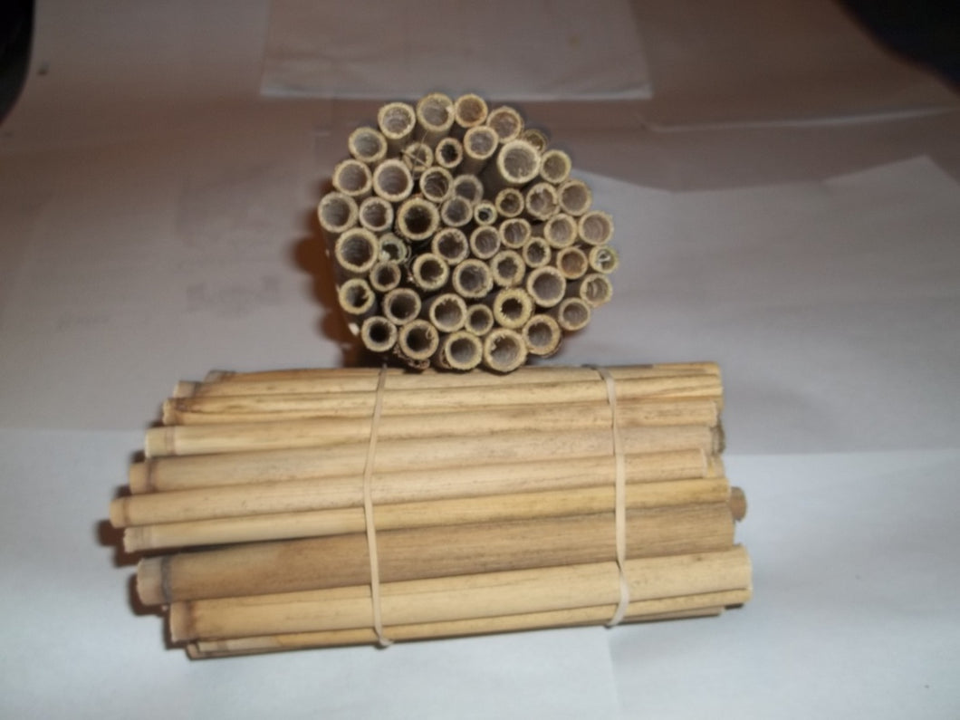 LARGE BEE NESTING REEDS                                  QTY   100